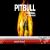 عکس اهنگ جدید pitbull با نام fireball