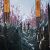 عکس Three Kingdoms Trailer Music (Total War: Three Kingdoms Soundtrack)