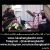 عکس اجرا موسیقی عرفانی با نی دف تنیور | ترحیم عرفانی | عروسی | مولودی خوانی | افطاری