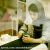 عکس دانلود اهنگ جدید حسین عامری به نام دختر کد خدایی والله چینی بلایی