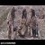 عکس موزیک ویدیو-سه برادر خداوردی-دیش دیری دیرین ماشالا