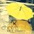 عکس آهنگ امیر یوسفی - چتر زرد