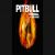 عکس موزیک بی کلام Pitball به نام FireBall