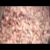 عکس اهنگ زیبایی از بنیامین بهادری و سهراب پاکزاد بنام موج محرم