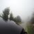 عکس لحظاتی در سراشیبی جنگل مه آلود