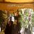 عکس مداح عرفانی در بهشت زهرا ۰۹۱۲۱۸۹۷۷۴۲ اکو مداح سر مزار مداحی متوفی پرسوز و اصیل