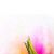 عکس علیرضا -افتخاری -آلبوم -جاده ی ابریشم - پیام صلح