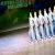 عکس رقص زیبا کردی گروه رقص کردی ارومیه در اسپانیا