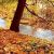 عکس زیباترین استوری پاییزی ـ کلیپ عاشقانه احساسی پاییزی ـ وضعیت واتساپ پاییزی