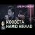 عکس Hamid Hiraad - Koodeta LIVE IN CONCERT ( حمید هیراد - کودتا )