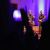 عکس سامی یوسف- اجرای زنده و سنتی آهنگ سوگواری در لندن