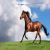 عکس زیباترین اسب‌های جهان نماهنگ کلیپ تصویری از زیباترین عکس های اسب