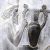 عکس سمفونی پرسپولیس - اثر آهنگساز ایرانی (آذربایجانی) امین الله آندره حسین