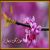 عکس خون گل ارغوان ها - با ارکستر بزرگ مهران بران