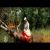عکس موزیک ویدیوی بسیار زیبای - نگار - از داوود یونسی خواننده محبوب