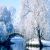 عکس زمستان را با آهنگ ملایم و آرامش بخش تجربه کنید