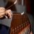 عکس نوازندگی زیبای سنتور از کیارش داودی