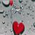 عکس کلیپ باران زمستانی برای استوری / کلیپ عاشقانه / کلیپ بارش باران با اهنگ