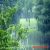 عکس نماهنگ ترانه زیبای باران بهاری با صدای سالار عقیلی