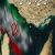 عکس کلیپ روز ملی خلیج فارس گرامی باد / استوری روز ملی خلیج فارس