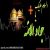 عکس مداحی ویژه شهادت امام جواد علیه السلام با صدای کربلایی جواد مقدم