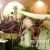 عکس دکور شب یلدا تم شب یلدایی مهمانی عروسی ۰۹۱۲۰۰۴۶۷۹۷ اجرای گروه موسیقی سنتی در تهر