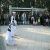 عکس صدای دهل وساز سیستانی با رقص سیستانی در باغ جنت شیراز09111772048